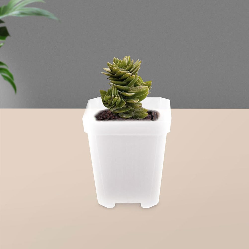 BESPORTBLE 50pcs Small Plant Pots: Transparent Square Nursery Pots for Succulents - Plastic Planter Indoor Gardening and Home Decoration