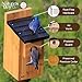 Nature's Way Bird Products CWH3 Cedar Bluebird Box House