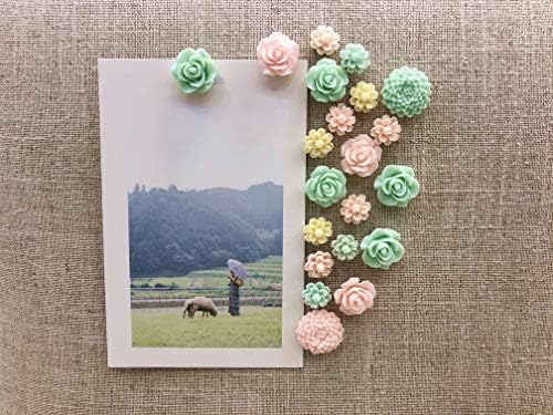 24Pcs Decorative Push Pins,Cork Board Tacks,Bulletin Board Tacks,Thumb Tack Decorative For Corkboard, Office Organization Or Home #TOP4