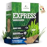 LERAVA® EXPRESS Gazonzaad [SNELLE GROEI] - 30m² - slijtvaste gazonzaden - graszaad voor gazon - Zaden voor gazon geschikt voor zonnige en halfschaduwrijke tuinen - graszaad gazon - Made in Italy