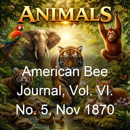 American Bee Journal, Vol. VI. No. 5, Nov 1870 cover art