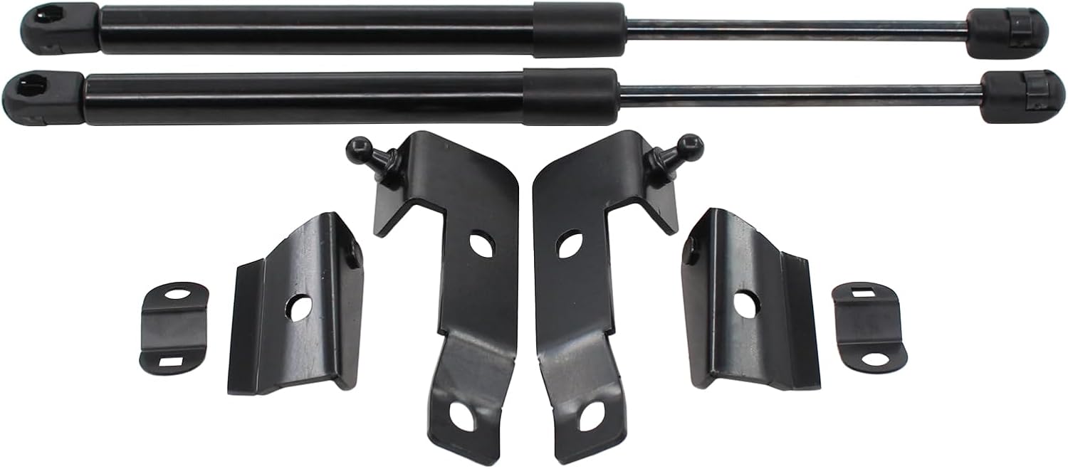 ApplianPar 2Pcs Front Left and Right Hood Lift Support Kit for Frontier Navara Pathfinder Xterra 2004-2018