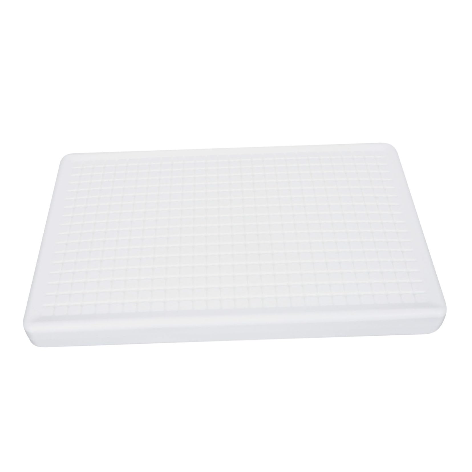 LABRIMP Sushi Sashimi Ice Plate Japanese Sushi Plate Japanese Sushi Trayice Trays Seafood Storage Plate Bandejas Para Comida Sashimi Sushi Serving Plate Sashimi Serving Plate White Plastic