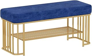 PJGFBYT Banco de zapatos para entrada, dorado, banco de pasillo con almacenamiento y asiento, organizador de zapatos para entrada, dormitorio, sala de estar (tamaño: 80 x 35 x 45, color: azul)