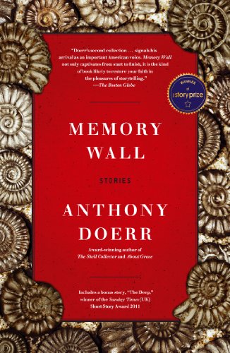 Memory Wall 143918285X Book Cover