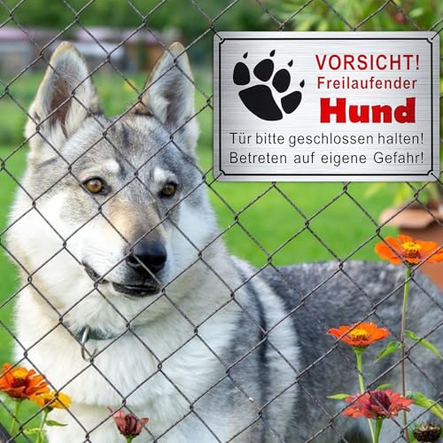 GTNCE 2 Stück Vorsicht Hund Schild 30x20cm, Warnung vor dem Schilder, Freilaufender Hund Schild Metall, Achtung Hunde, Witterungsbeständig und Stabil, Hundeschilder für Innen & Außen