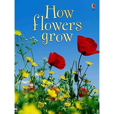 How Flowers Grow
