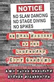 No Slam Dancing, No Stage Diving, No Spikes