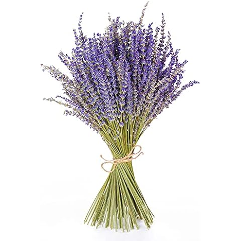 HAKACC Lavender Bundles Natural Dried Flowers Never Withered Decorative Flowers Bouquet for Wedding,Home,Office Cover