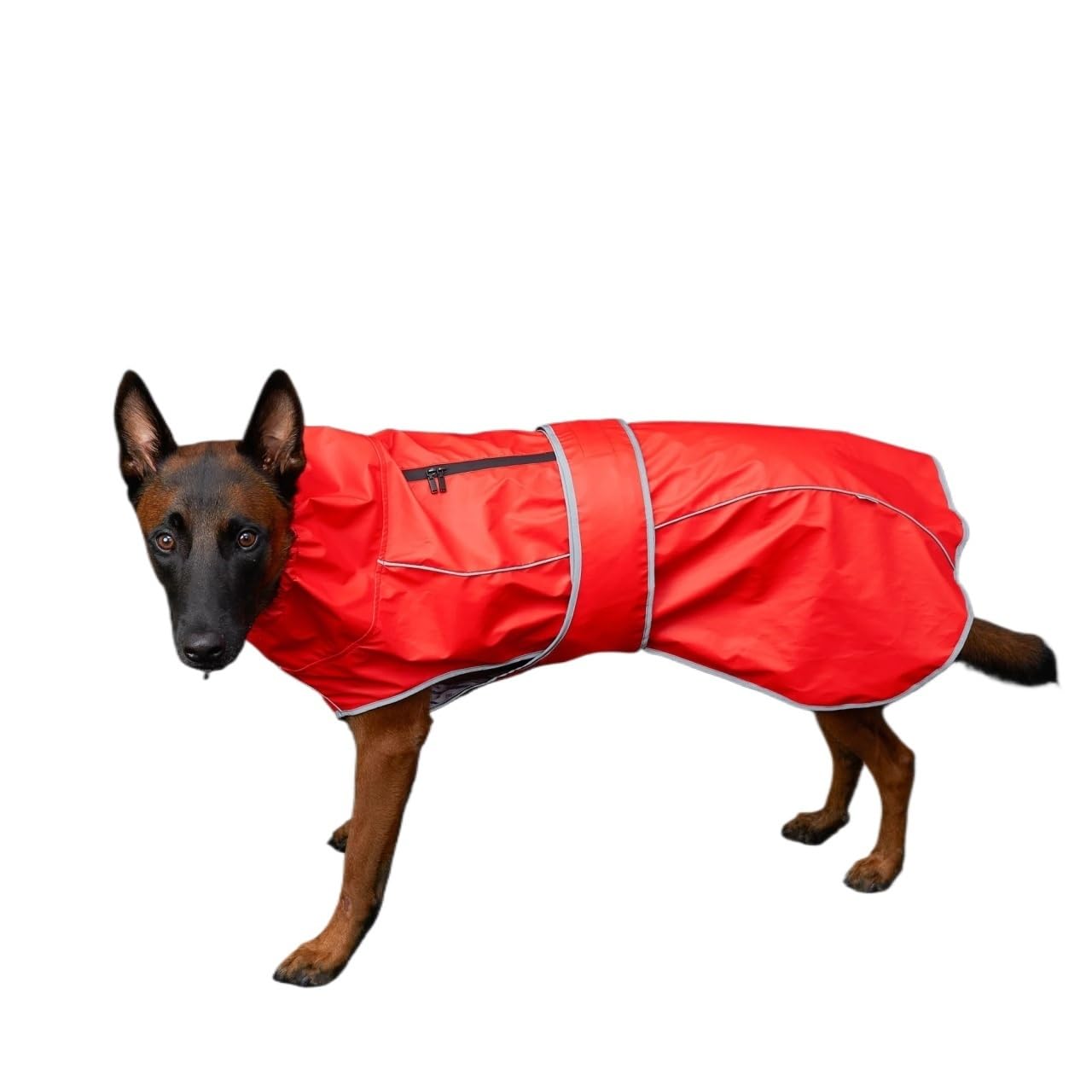 Manteau imperméable pour chien pour éviter l'odeur de poil mouillé veste rouge L