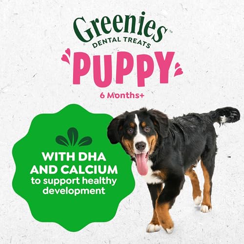 Greenies Dog Treats Veterinarian-Recommended Natural Dental Puppy Treats Teenie Size,12 oz. Pack,43 Count (Pack of 2) - image 8