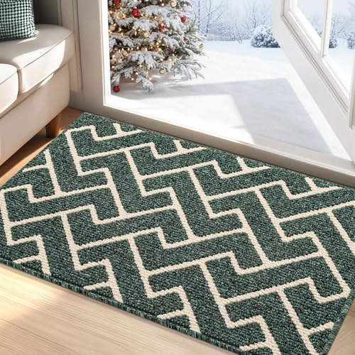 Biscpro Paillasson Intérieur Tapis 60x90cm Entrée Intérieur Extérieur Imperméable,Antidérapant,Absorbant,Tapis pour Entrée,Lavable,Cuisine,Salle de Bain-Emerald