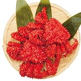 【北の海から海鮮便り】 花咲蟹 北�