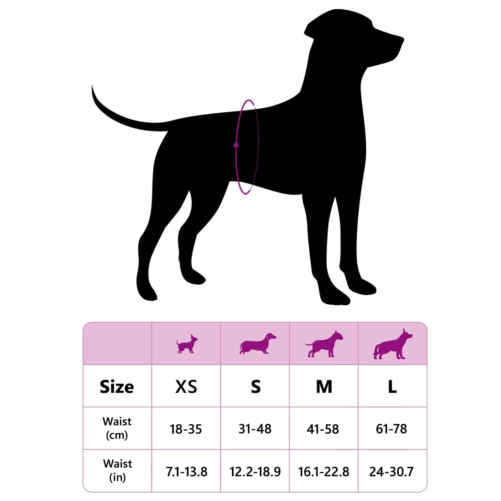 Protection Hygiénique Jetable pour Chien Mâle Taille M 30 pcs Blanc Absorbant Ajustable Confortable Maintien Sécurisé pour Incontinence Urinaire Chaleurs Éducation Senior Voyage