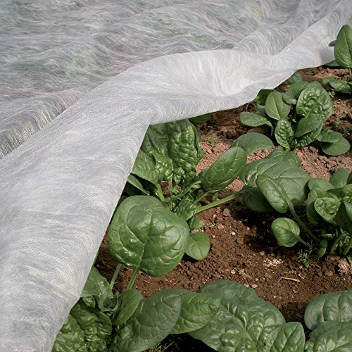 TENAX Ortoclima Plus Kälteschutzvlies 2,40x5 m Weiß, Winterfrostschutzvlies für Pflanzen und Kulturen, aus Vliesstoff 30 g/m², schützt Pflanzen, Blumen und Gemüse vor Kälte, Frost und Wind