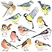 DECOWALL DS-8038 Little Birds Kids Wall Stickers Wall Decals Peel and Stick Removable Wall Stickers for Kids Nursery Bedroom Living Room (Small) dÃ©cor