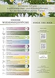 Heucobs Bio, Wiesencobs, WiesenGold® Bio KräuterHeu Pellets/Cobs (20kg) – Premium Pferdefutter, von artenreichen Kräuterwiesen, Melassefrei, ohne Zuckerzusatz, staubfrei, Bio Heupellets, Heu Cobs
