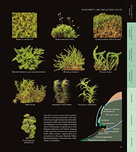 Mosses Of The Northern Forest: A Photographic Guide (The Northern Forest Atlas Guides) #TOP5