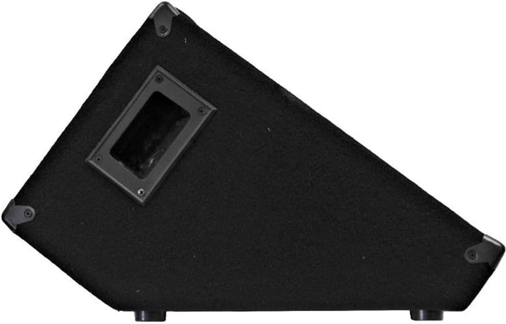 Seismic Audio - SA-10MTSingle - 10" Floor / Stage Monitor Wedge Style with Titanium Horn - Image 7