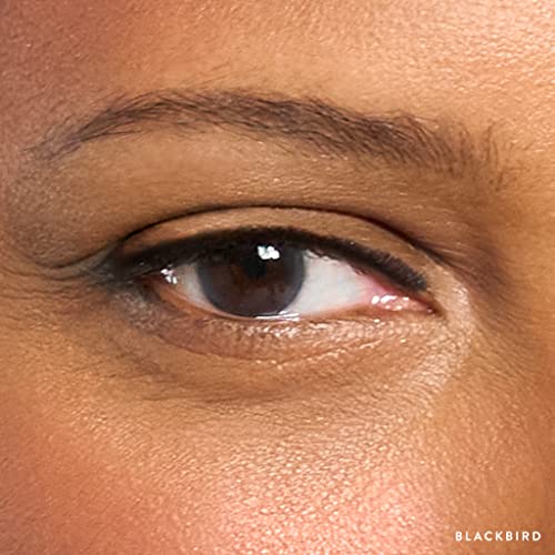 Laura Geller New York Inkcredible Precision Gel Eyeliner - Blackbird - Waterproof - Retractable Eyeliner - Ultra-Thin Tip #TOP7