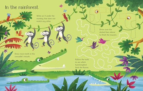 Wipe-Clean Animal Activities (Wipe-clean Activities) - Image 2