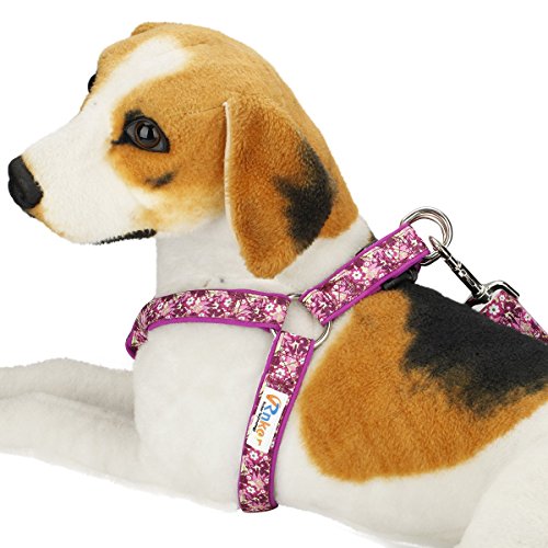 Rnker Step-In Harnesses, No Pull, Flowers Pattern By Hot Stamping, Neoprene Padded, Adjustable Walking, Training Dog Harness For Medium Dogs (Purple) #TOP1