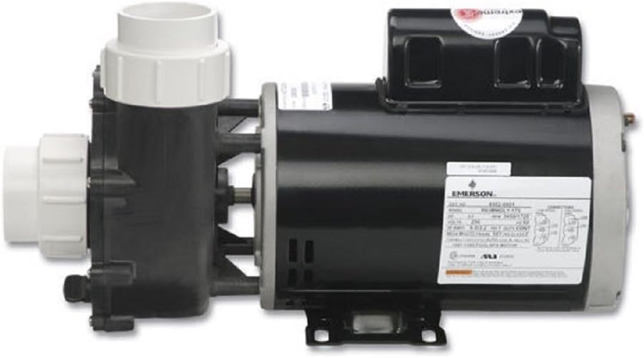 Gecko Alliance 053207612040 3 hp Flo-Master XP2e Series Pump44; 230V - Dual Speed