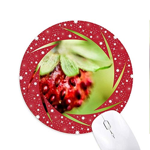 VNȃx[摜Rʐ^ ~`S̐Ԃ̃zC[pbh