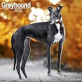 Greyhound Calendar 2025 | Square Dog Breed Wall Calendar - 16 Month