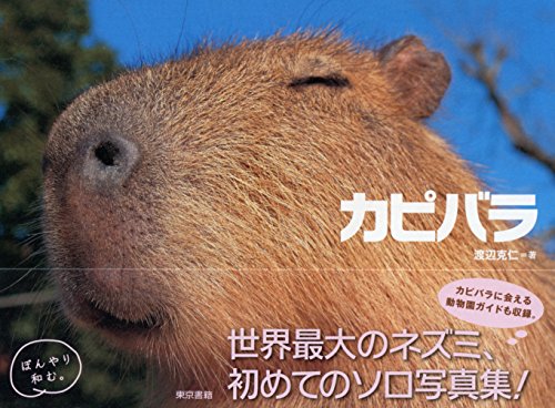 カピバラ 渡辺克仁 Kindle本 Kindleストア Amazon