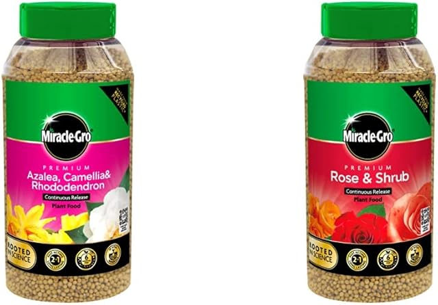 Miracle Gro Premium Azalea, Camellia and Rhododendron Continuous Release Plant Food and Premium Rose & Shrub Continuous Release Plant Food, 900G
