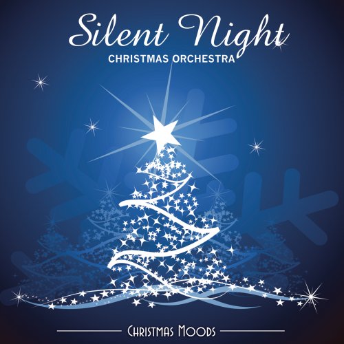 Silent Night: Christmas Orchestra [Audio CD] Various Artists