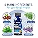 Tobcharm Toenail Fungus Treatment For Toenail & Finernails, 25% Undecylenic acid, Toe Nail Fungus Treatment Extra Strength, Tea Tree Oil for Tonail Fungus Treatment, Blue