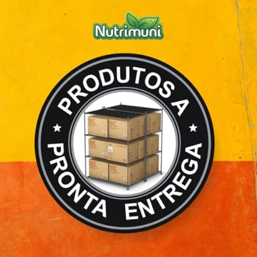 Cúrcuma Pura 2 Potes 240 Cápsulas De Gelatina Com 600mg