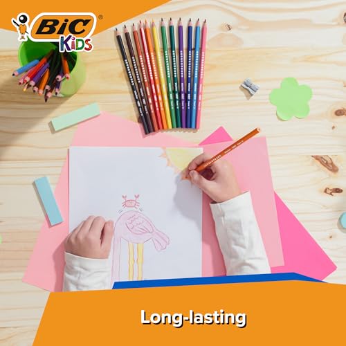 BIC Evolution Colouring Pencils for Kids - Coloured Pencils Great for Kids Colouring Books - Pack of 12