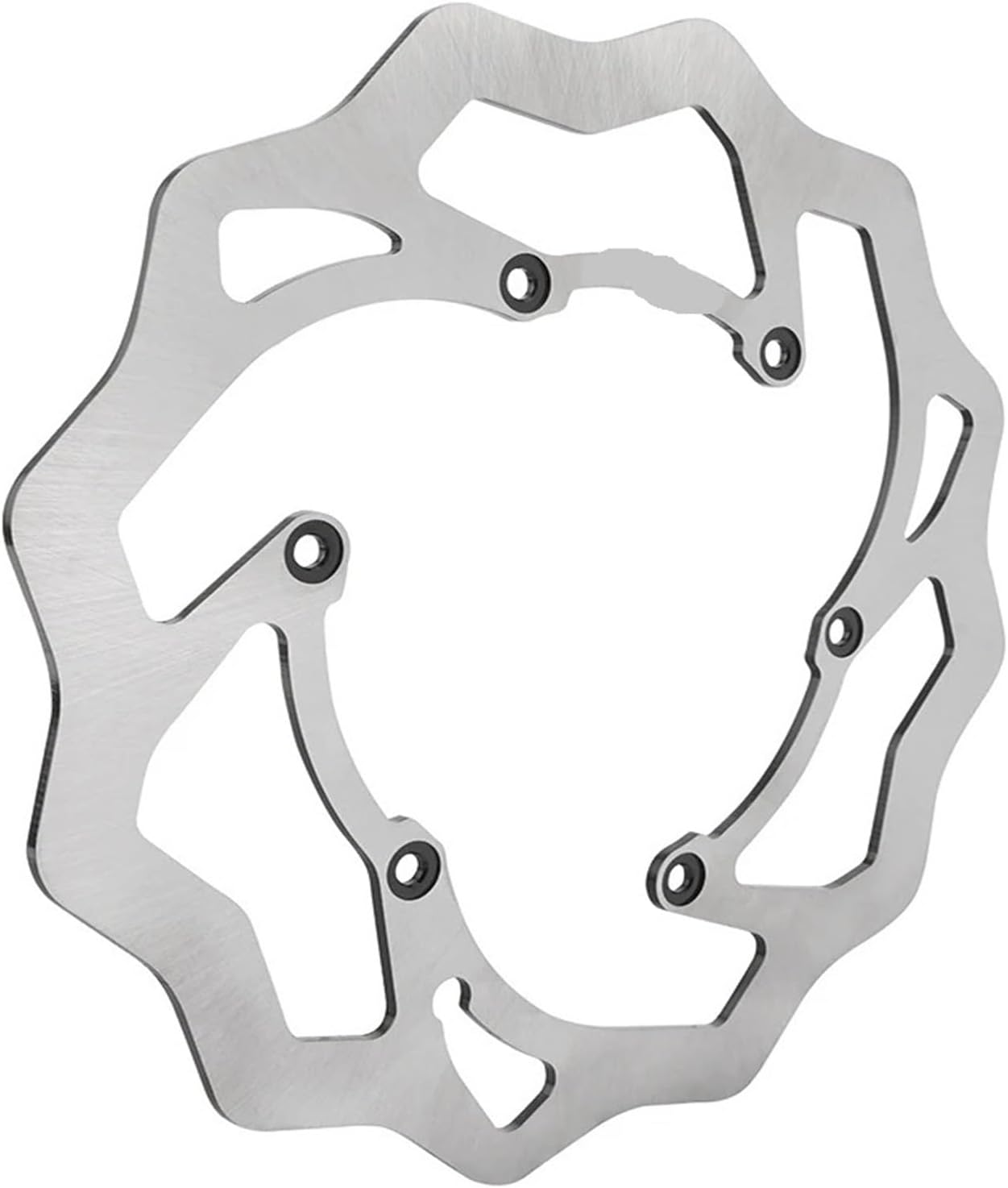 RR 300 2013-2024 260MM 240MM Front Rear Brake Disc RR 125 200 250 350 400 430 450 498 X-Trainer 300(Front)