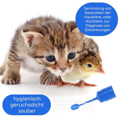 Horn Medical 5x Untersuchungsröhrchen I Stuhl-/Kotröhrchen I Probenröhrchen mit Löffel