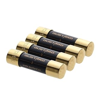 Gustard HiFi Fuse 630mA Sound Protection Fuse for Gustard U16 U18 C16 C18 X16 X18 A18 H16 N18 N18PRO DAC Decoder Audio Power Safety Protect