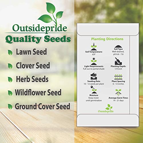 Outsidepride Cornflower Black Garden Cut Flower Seeds - 1000 Seeds #TOP5