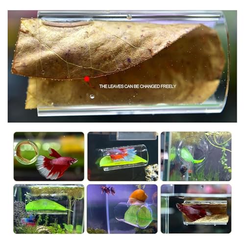 Túnel de Tubo Acrílico de Peixe Betta, Esconderijo de Caverna de Peixe de Design Oco Com Copo de Suc