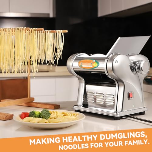 Newhai Electric Family Pasta Maker Machine Noodle Maker Pasta Dough Spaghetti Roller Pressing Machine Stainless Steel 135W for Home Use (1.5mm round noodle+4mm flat noodle)