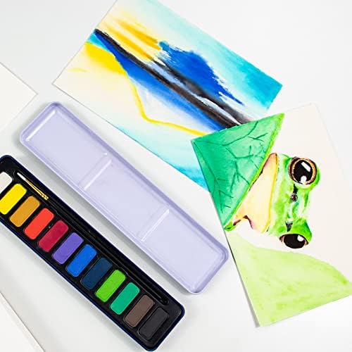 STATIONERY ISLAND Watercolour Paint Set Professional Painting Supplies Kit in Portable Travel Tin with Paintbrush and Mixing Palette, 12 Full Pan Sketchers' Pocket Box for Artists Adult Beginners