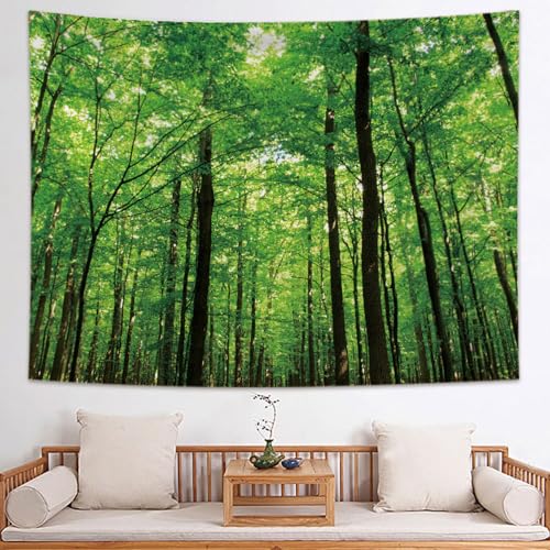 [KMBIGNK] ^yXg[ JGf̐X ڂ Ђ܂ z|X^[  X G ȕǊ| Mtg a Ǌ| Ǐ gt n ǂ̑ CeA EH[A[g Vj fUC8 @\ 1.5x1.3