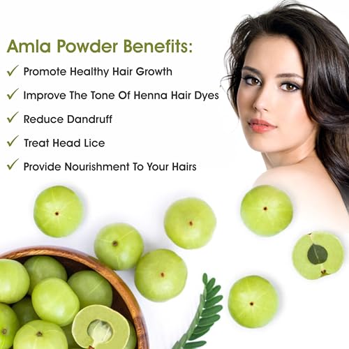 Image of 100% Pure & Natural Amla Powder For Hair Growth (200 grams) | Ideal for Skin & Hair Care