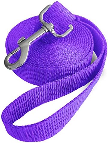 long backyard dog leash