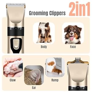 Dog Grooming Kit and Dog Paw Trimmer - Electric Quiet Cat Hair Clippers Set Pet Hair Clippers for Thick Coats Low Noise Cordless Pet Grooming Kit Shaver with Scissor for Dogs Cats Pet Animal Dog Grooming Kit and Dog Paw Trimmer – Electric Quiet Cat Hair Clippers Set Pet Hair Clippers for Thick Coats Low Noise Cordless Pet Grooming Kit Shaver with Scissor for Dogs Cats Pet Animal