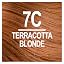 7C terracotta blonde