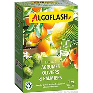 ALGOFLASH Engrais Agrumes, Oli...