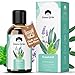 Produktbild Emma Grün® Saunaaufguss Eukalyptus Bio 100ml [BIO EUKALYPTUS & MENTHOL] - Sauna Aufgussmittel mit Eukalyptus, Menthol & Lavendel Öl - Saunaöl Bio Ätherische Öle - Saunaduft für Kühle Frische
