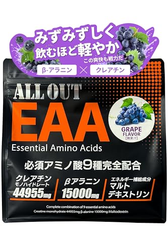 ALLOUT EAA 500g �K�{�A�~�m�_9��z�� �N���A�`�� ���A���j�� ���Y �i ���ۖ��o�R���@��iTi��܁j�i�O���[�v���j